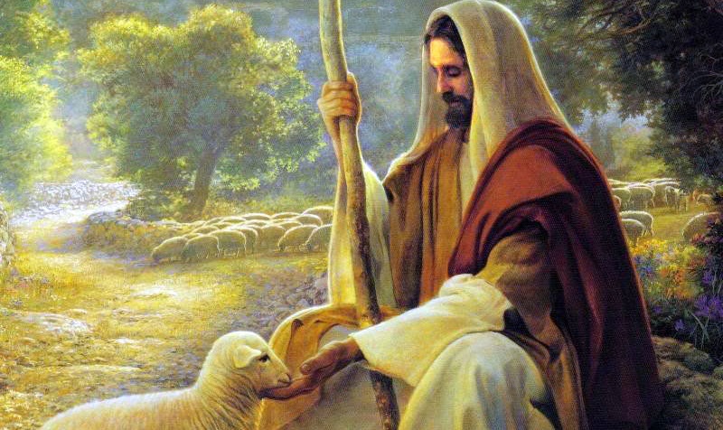 Vangelo Gv 10, 11-18:« Io sono il buon pastore, conosco le mie pecore e le mie pecore conoscono me, così come il Padre conosce me e io conosco il Padre, e do la mia vita per le pecore».